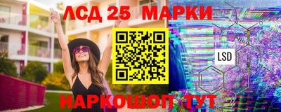 индика Моздок