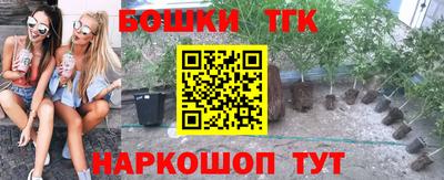 индика Моздок