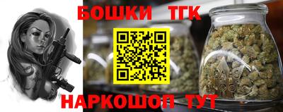 тгк Можга
