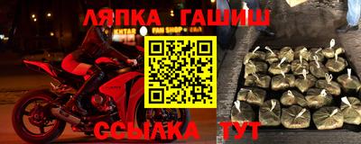 индика Моздок