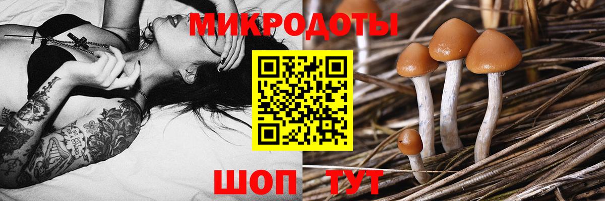Галлюциногенные грибы мухоморы  Галлюциногенные грибы мицелий  Ступино  Вход с VPN 